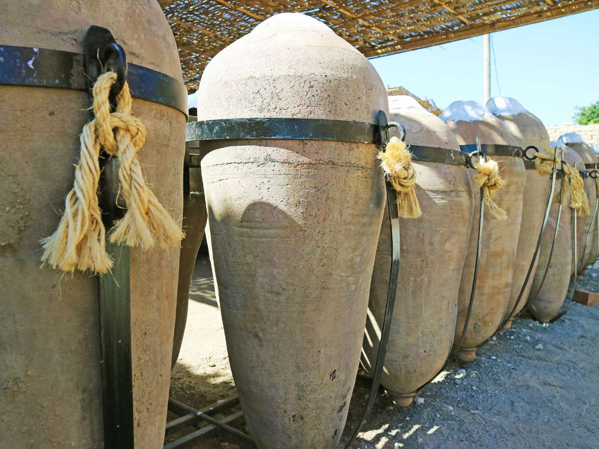 barriles de roble en bodega de pisco de Ica