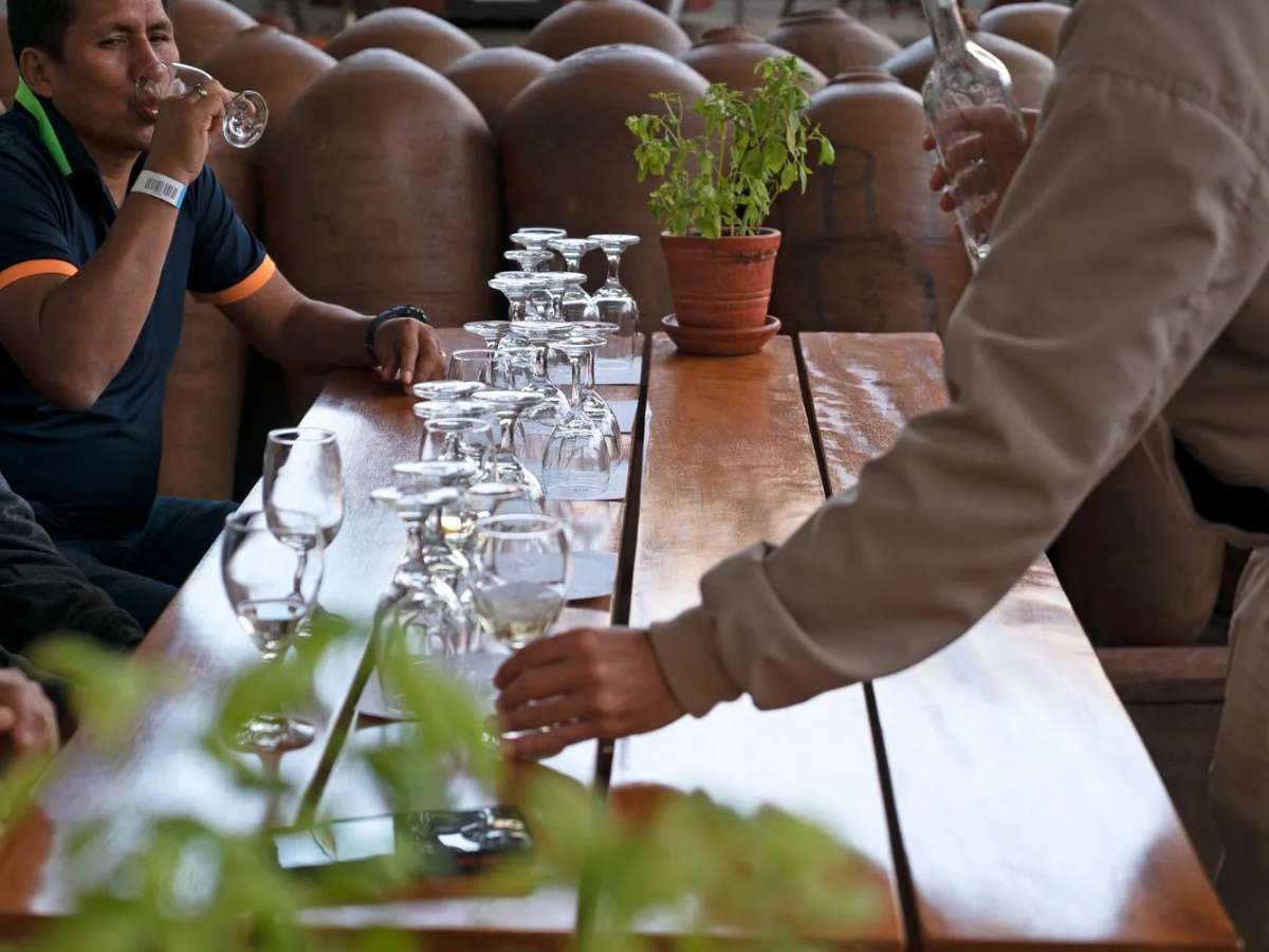 degustación de pisco en bodega tradicional