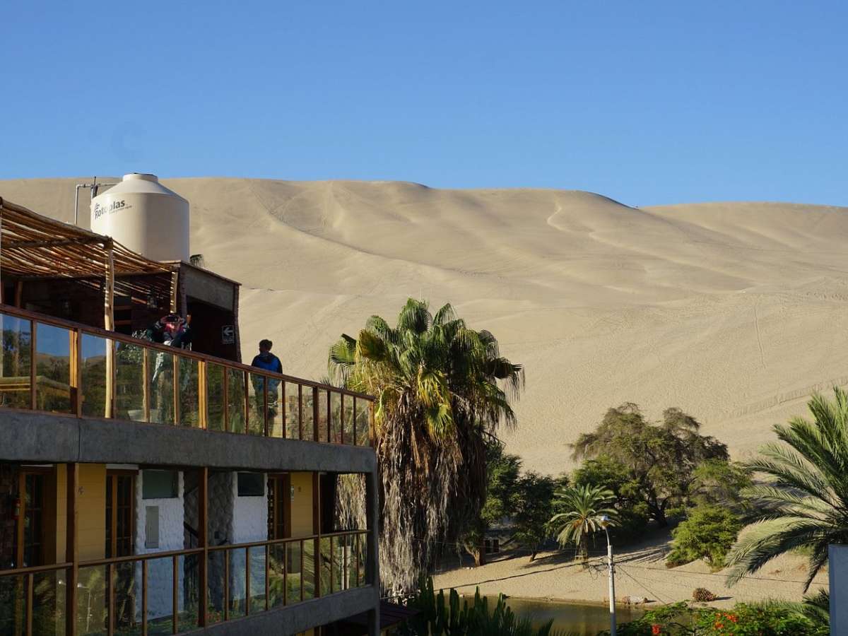 terraza con vista al oasis
